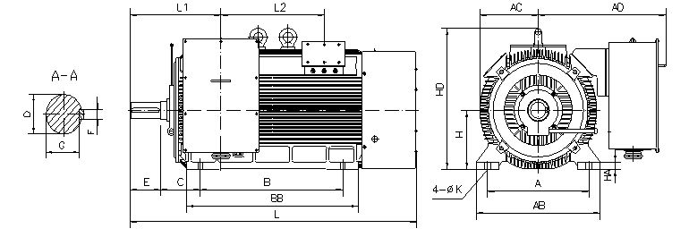 Y2 Series IC411 TEFC Compacted High Voltage 6KV 10KV Squirrel Cage Motor